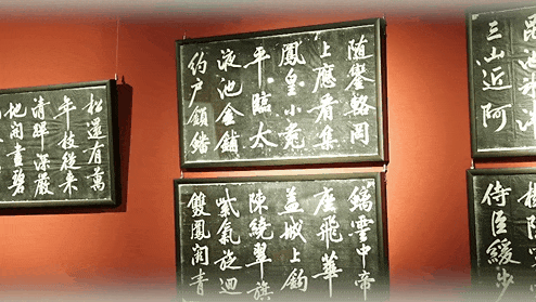 银行济南分行深耕养老金融从适老服务到数智守护的实践之路新葡京娱乐场app以金融温度筑牢老年消保防线——浙商(图4)